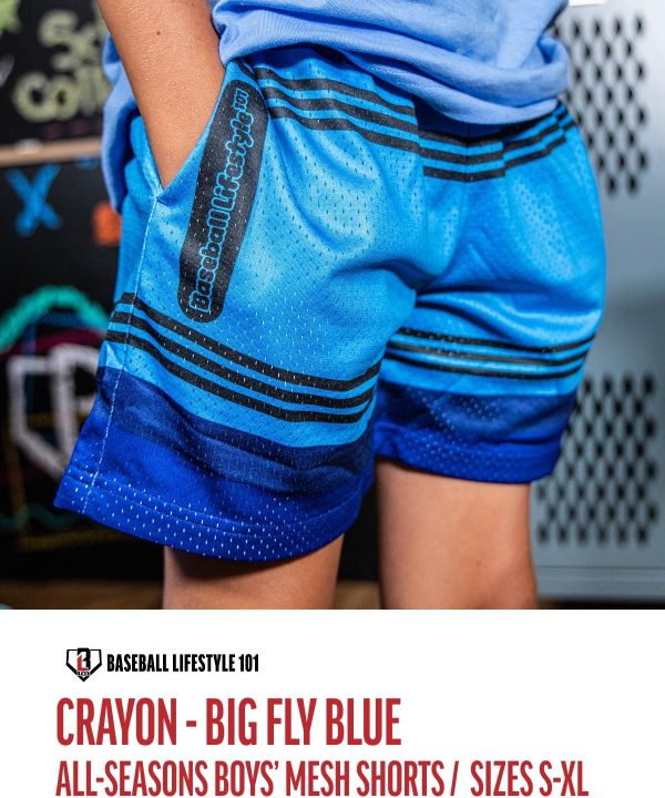 Boys Athletic Shorts BL101 Mesh Breathable Design-3